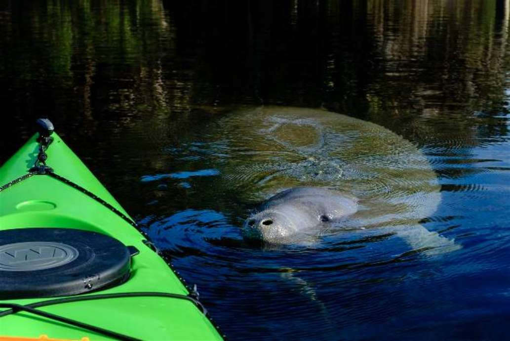 Adventures in Florida