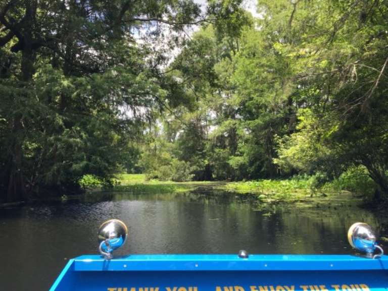 Captain Bob's Airboat Tour