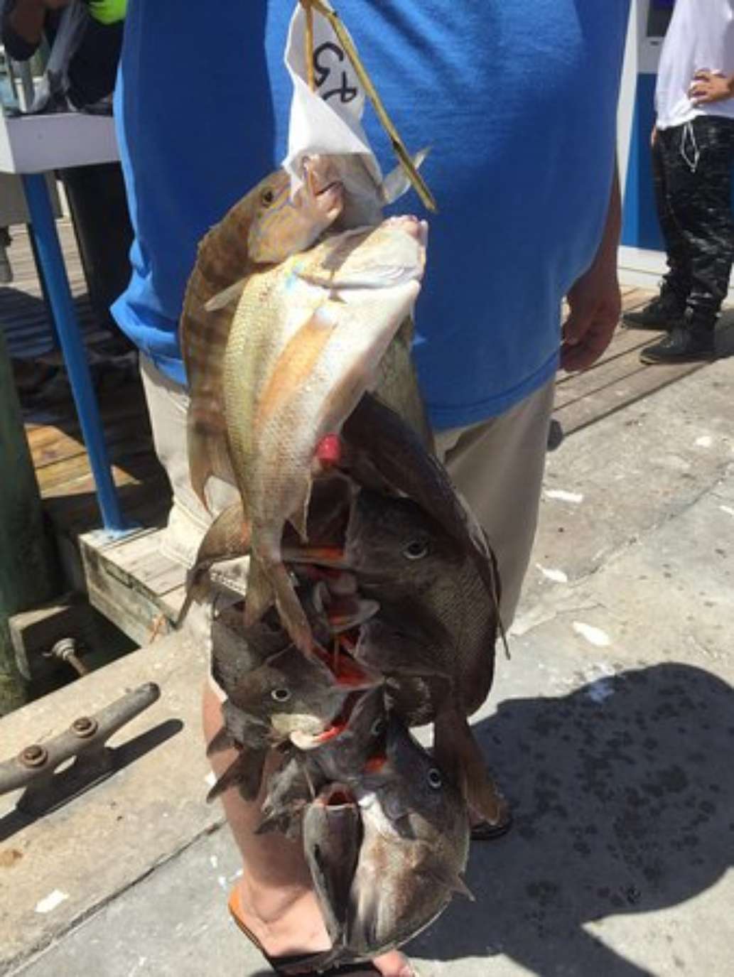 Double Eagle Deep Sea Fishing