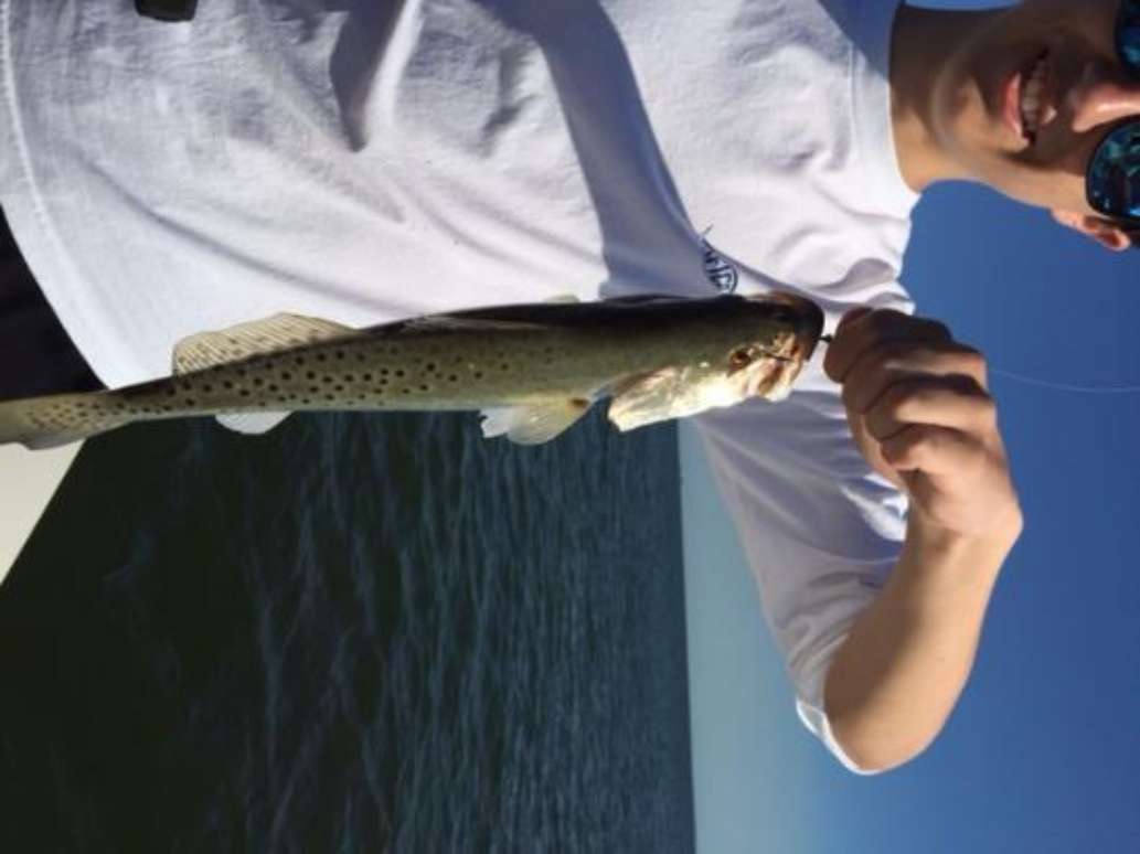 Fish Face Charters