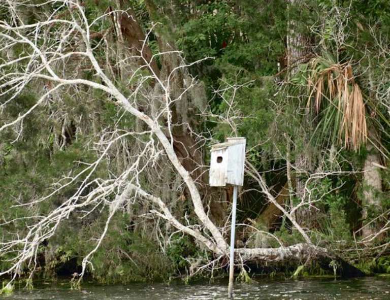 Gulf Coast River Charters