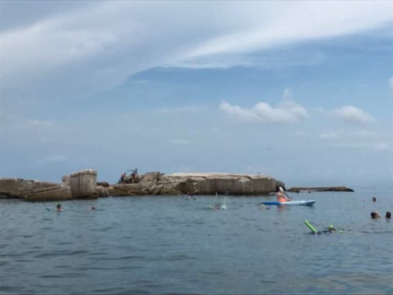 Nature Coast Excursions