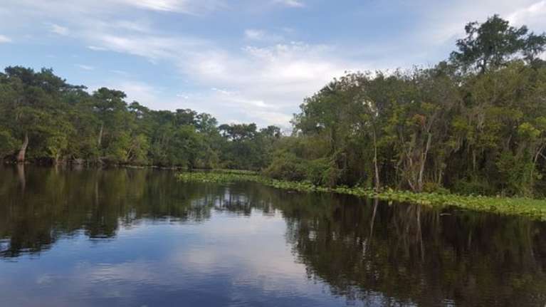 Tiny Houseboat Adventures