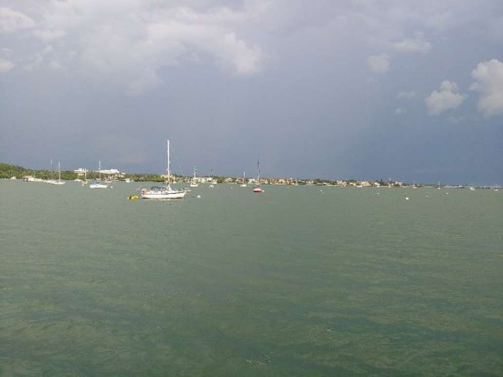 Marina Jack II