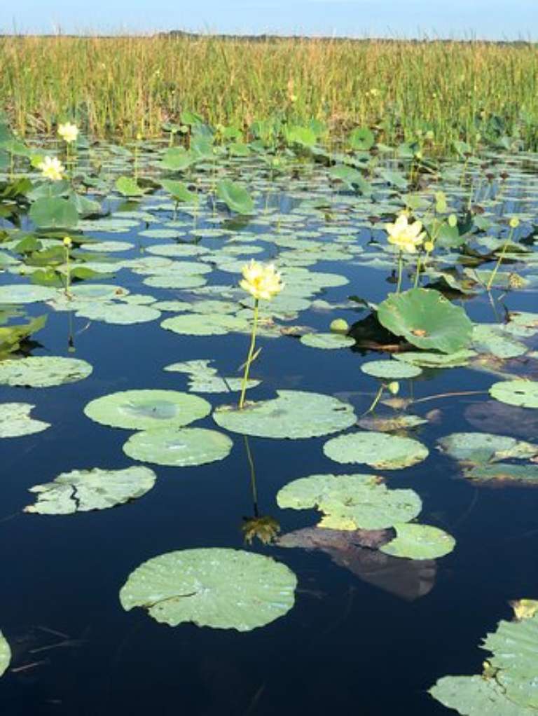 Marsh Landing Adventures