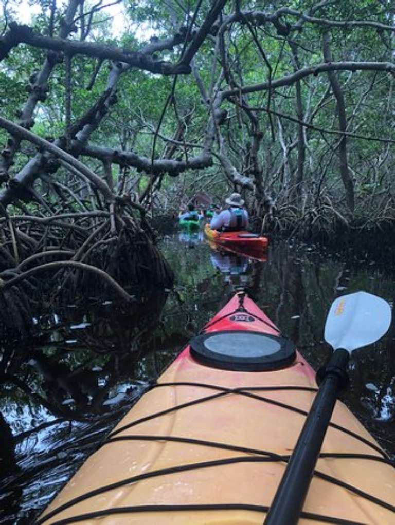 Coastal Kayak Charters