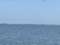 Tidewater Tours