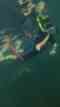 Nature Coast Manatee Tours