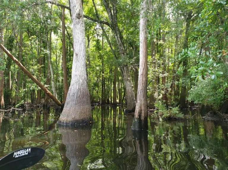 The Paddling Center at Shingle Creek