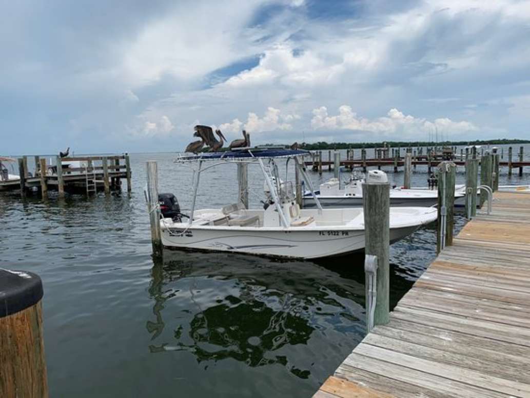 Boats and Fun