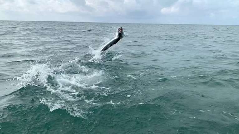 Florida Keys Flats Fishing