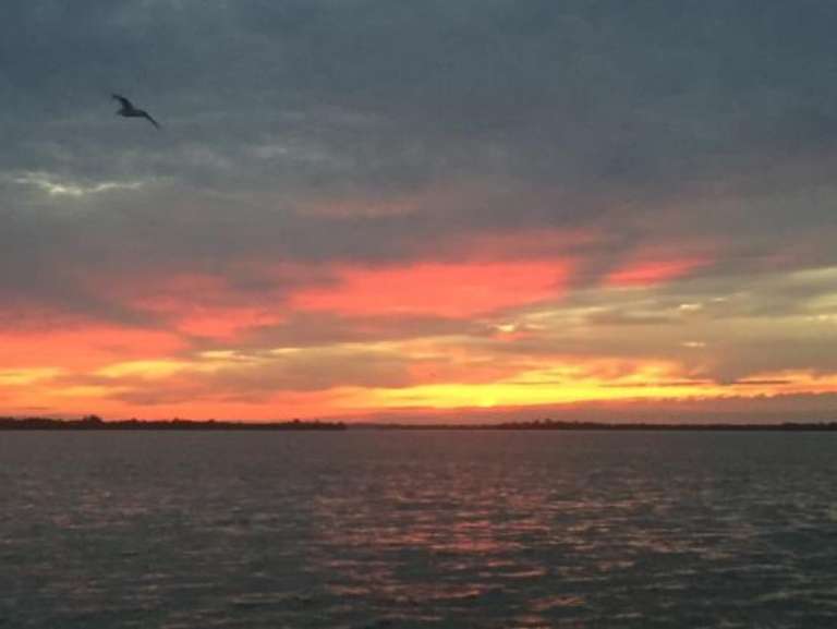 Mat Outdoors Fishing Charter