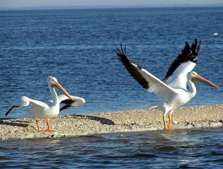 Hidden Coast Outdoors