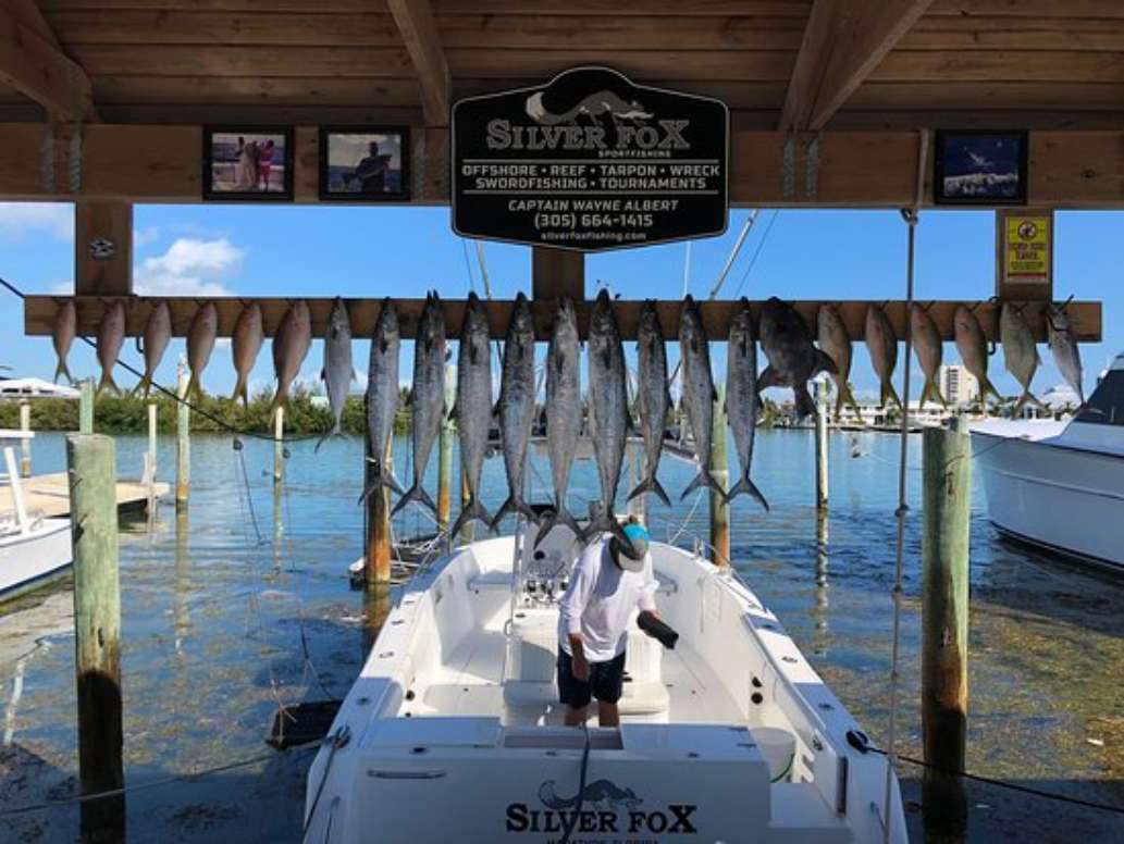 Silver Fox Fishing