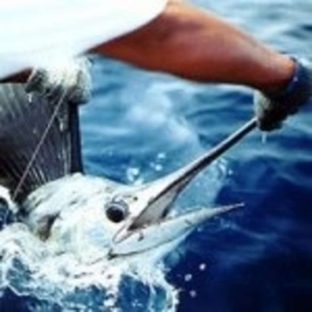 Upper Keys Sportfishing