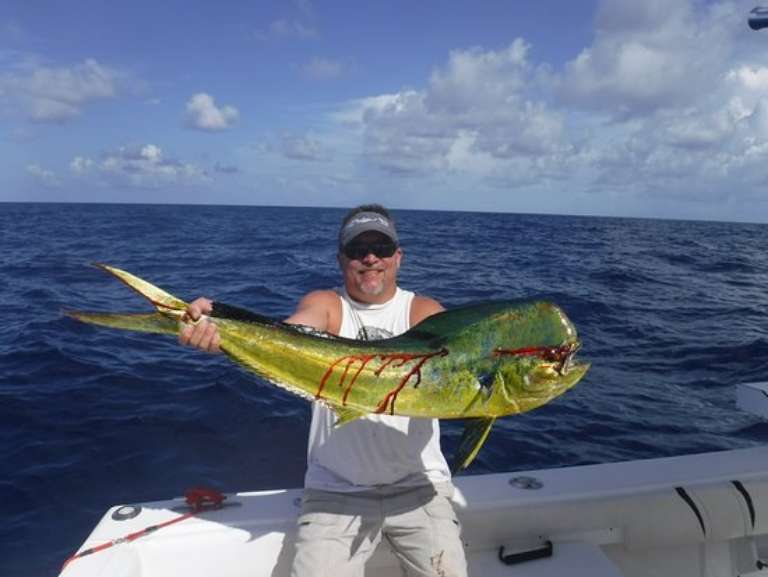 Fish Key West Florida Chaters