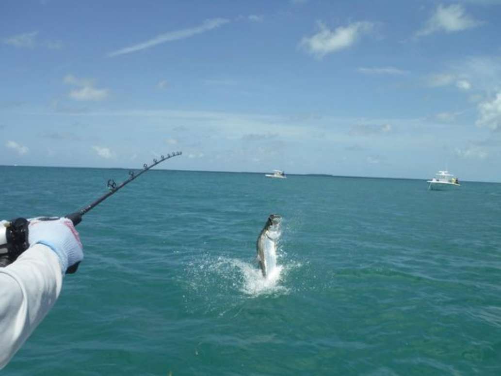 Seize the Day Fishing Charters