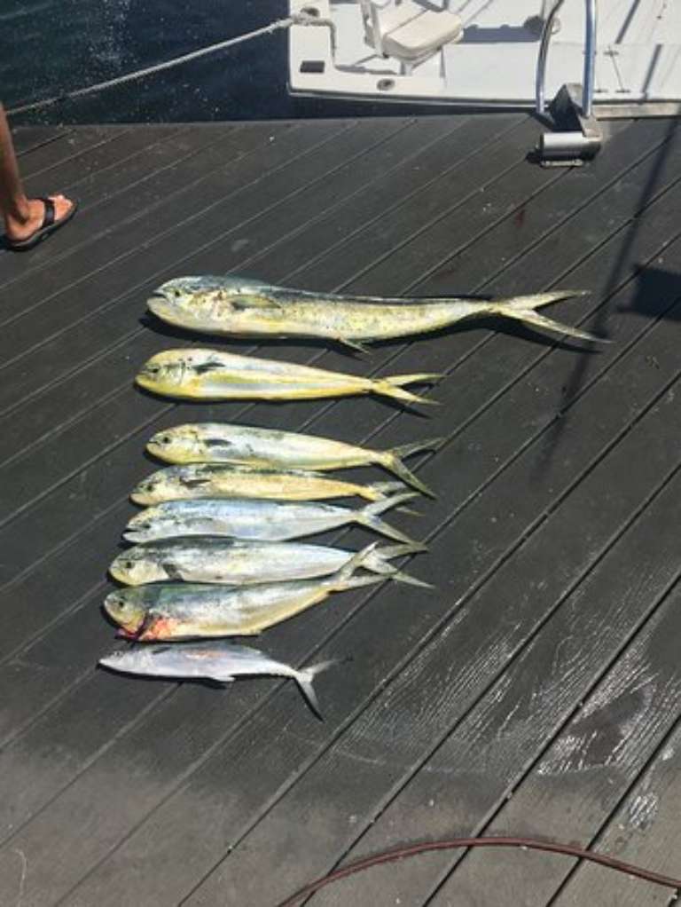 Wild Bill Sport Fishing