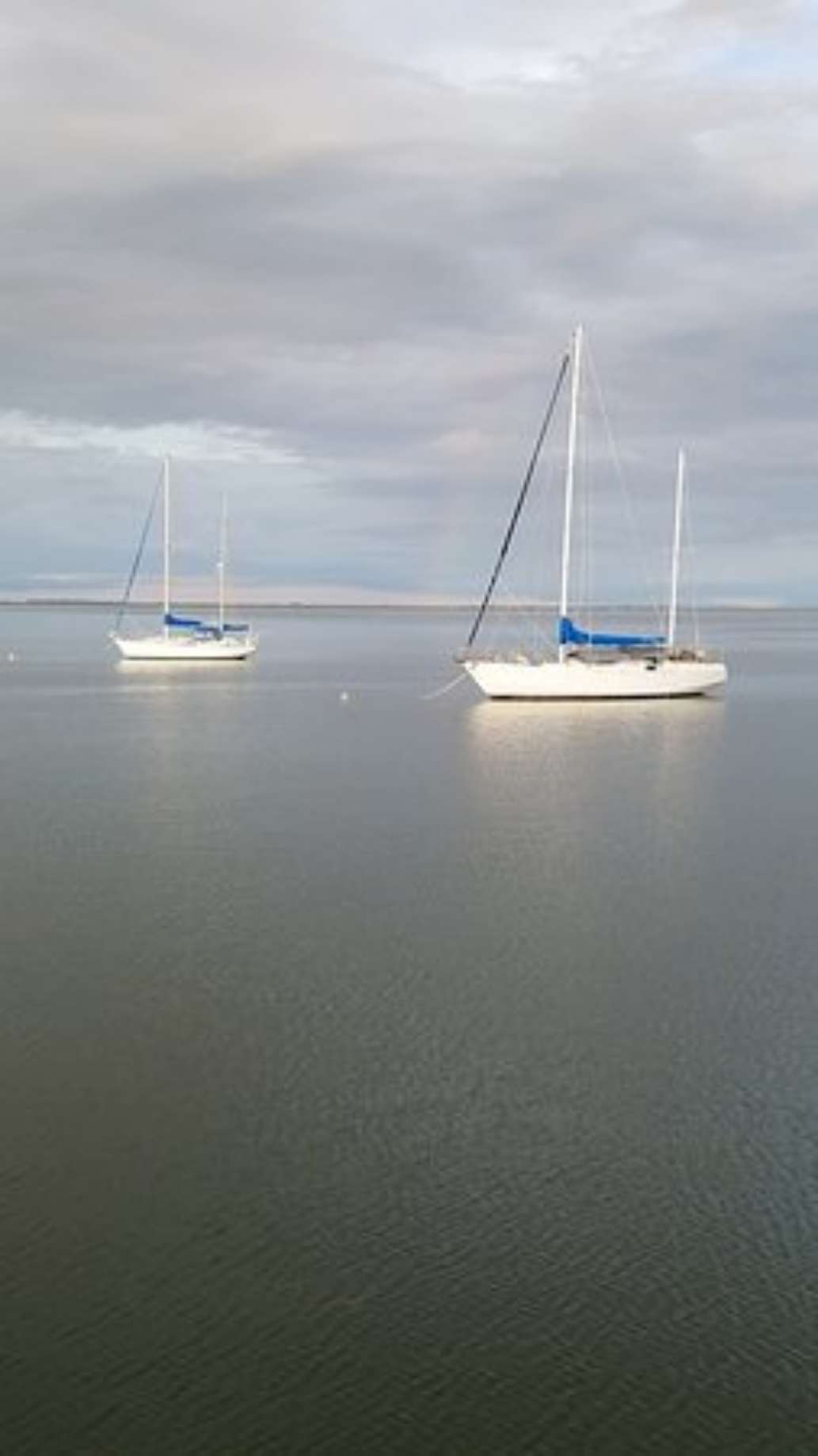 Captiva Cruises