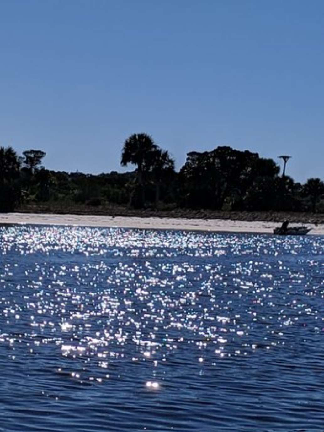 Cedar Key Boat Rental & Island Tours