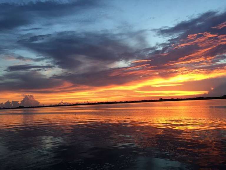 Pure Florida Fort Myers