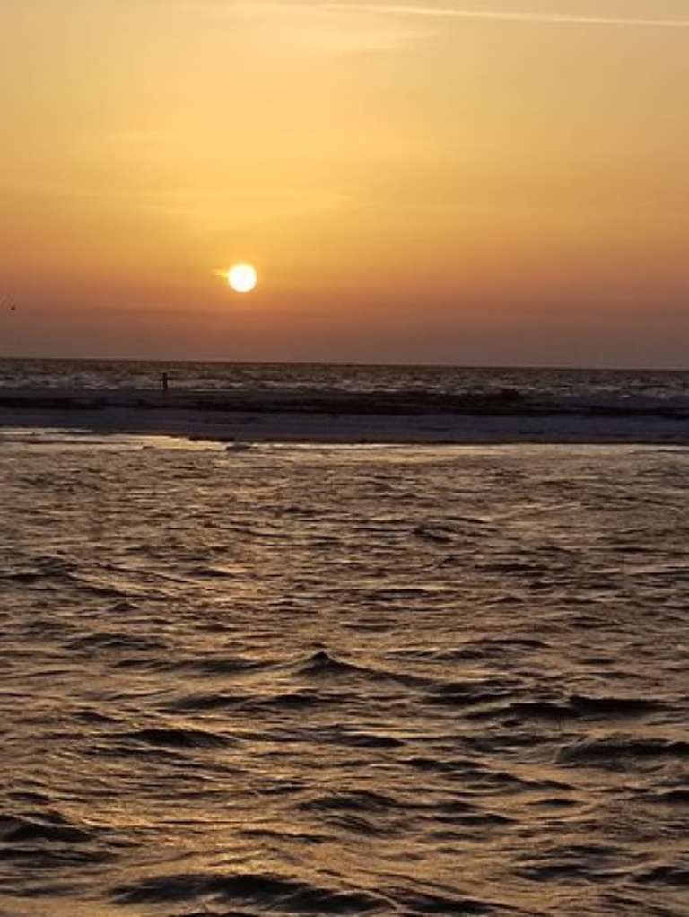 Island Paradise Charters Day Tours