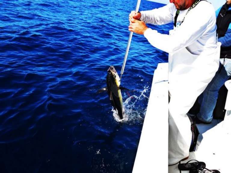 Maverick Fishing Charters - Tours