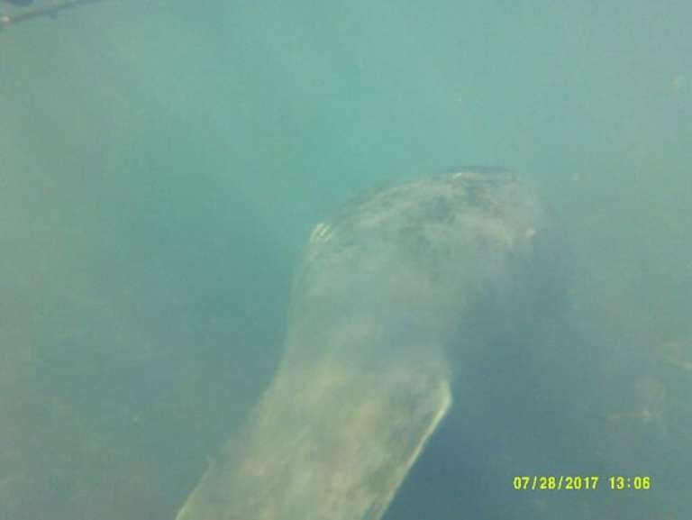 Hog Tide Fishing Charters