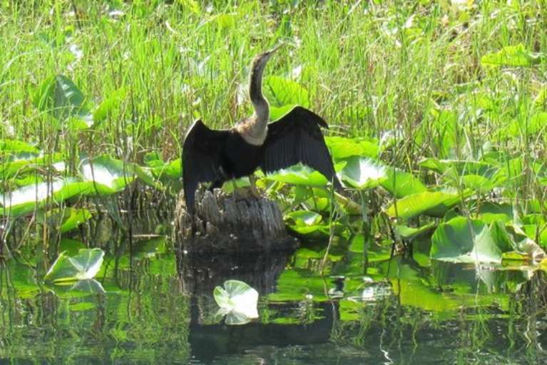 Angler's Resort Motelv Bait & Tackle - Boat Rentals