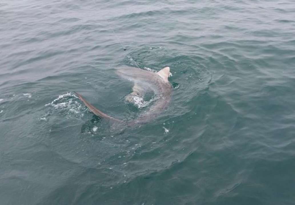 Come Florida Fishing