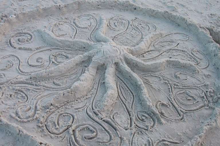 Apollo Beach Nature Preserve