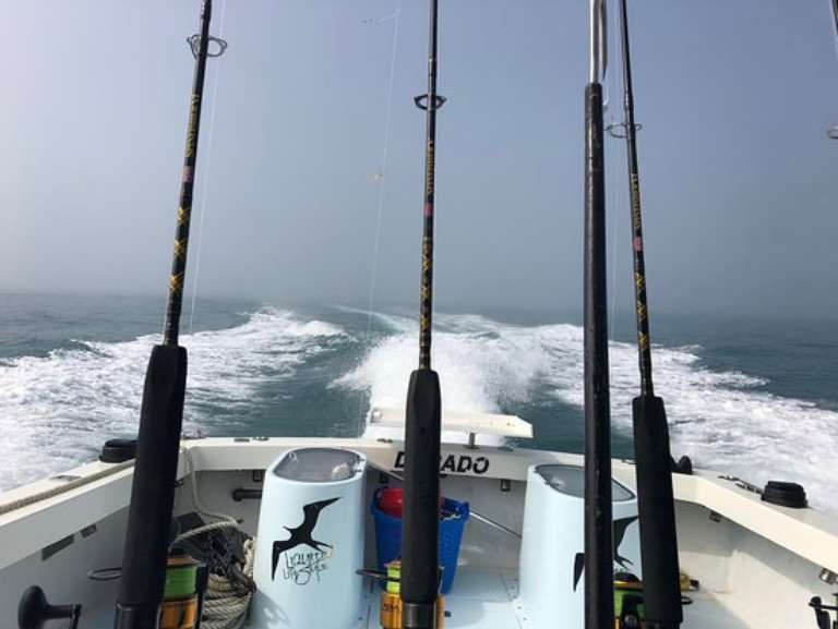 Liquid Lifestyle Charters