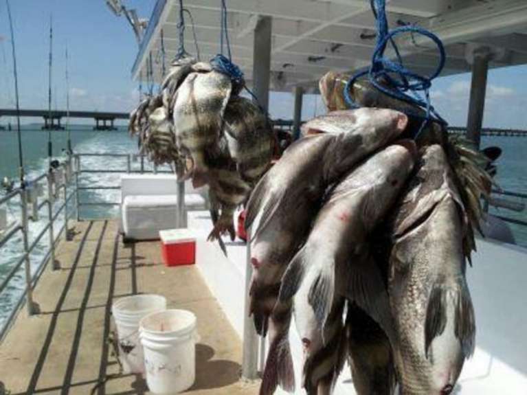 Danny B Fishing Charters