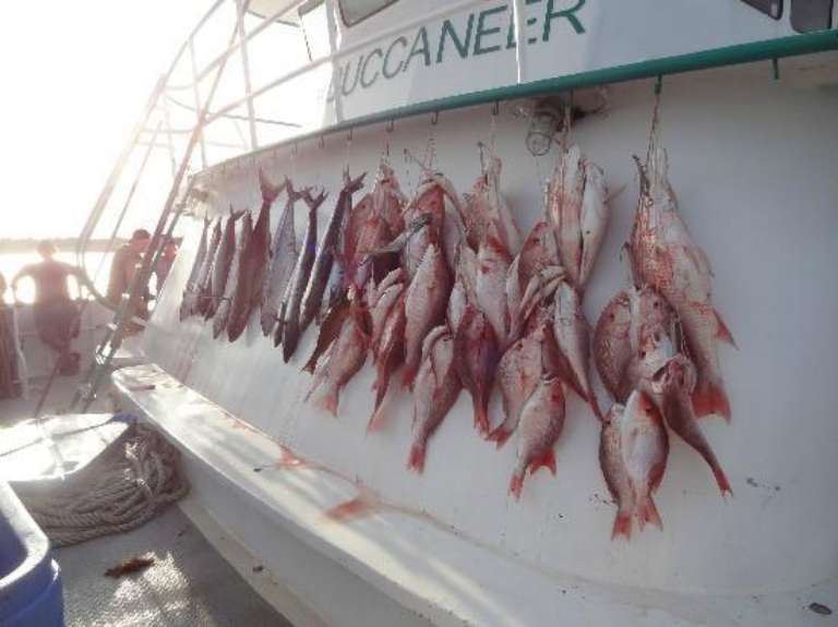 Galveston Party Boats