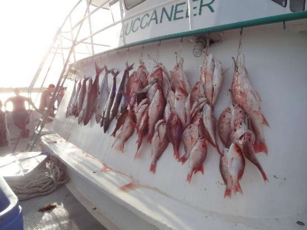 Galveston Party Boats