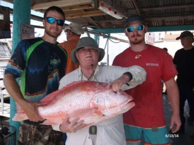 Dolphin Dock Day Trips