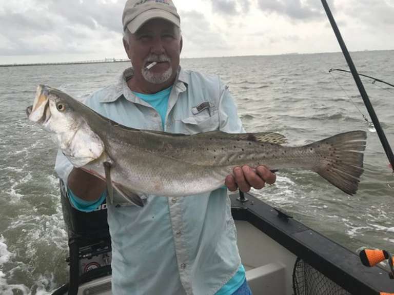 Tides and Tails Guide Service