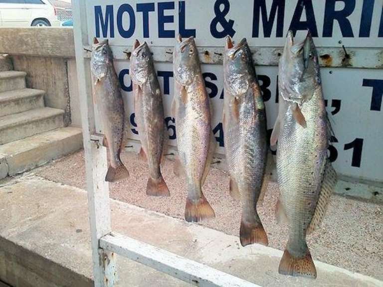 Crystal Flats Guide Service