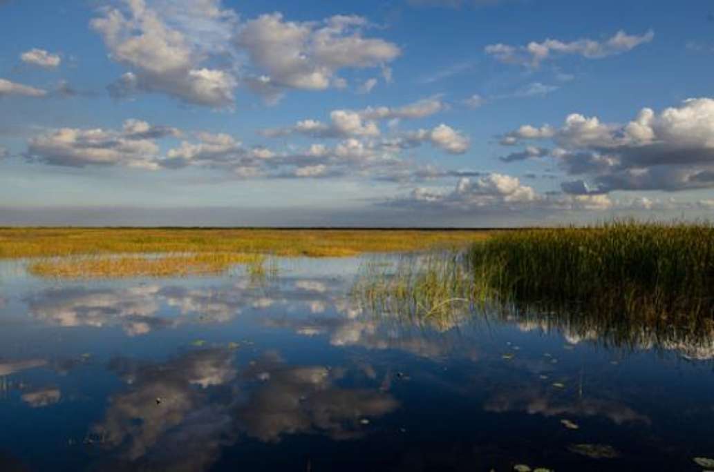 Lake Okeechobee Bass Fishing
