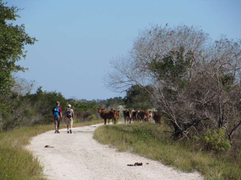 KICCO Wildlife Management Area