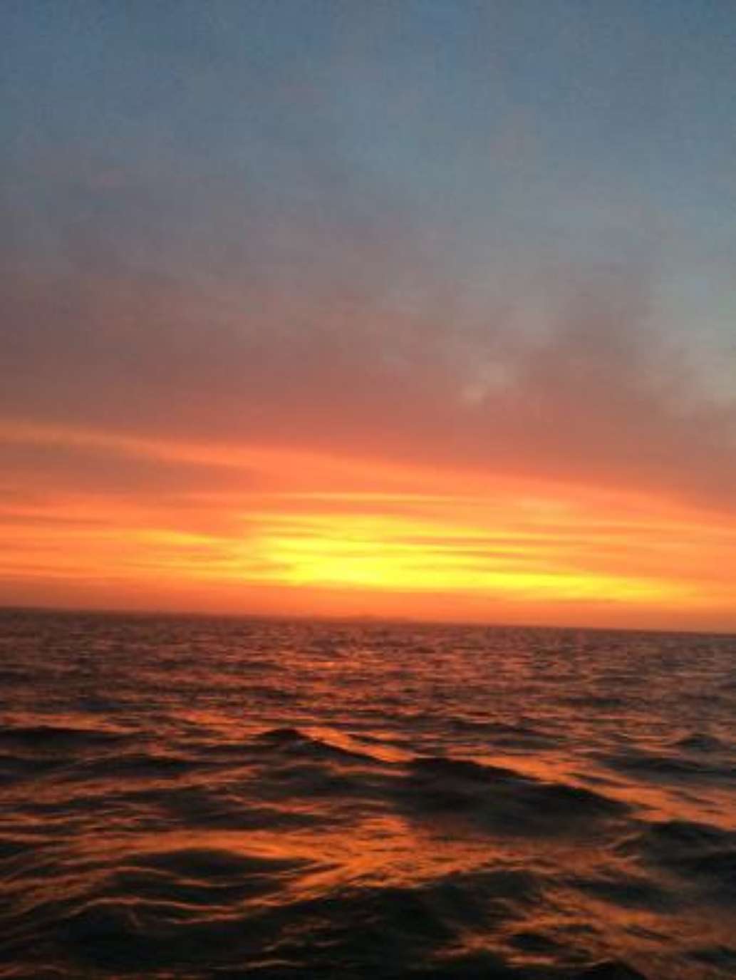 Conway Charters