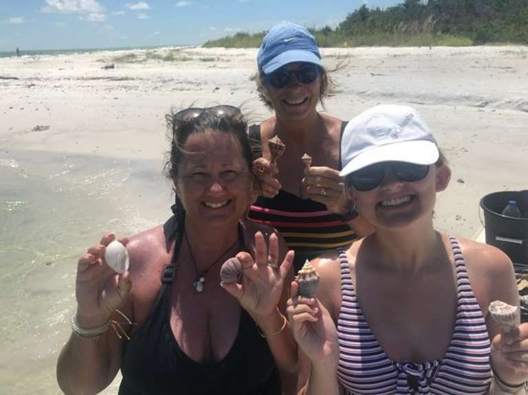 Sand Dollar Shelling