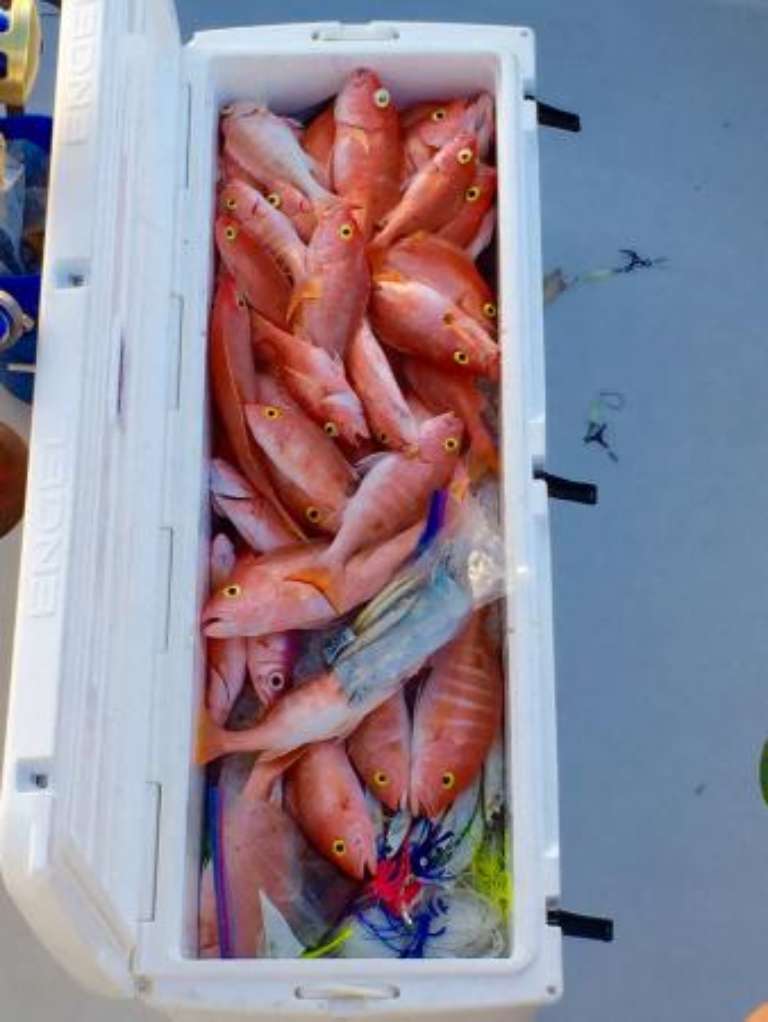 Ocean Outlaw Sport Fishing Charters