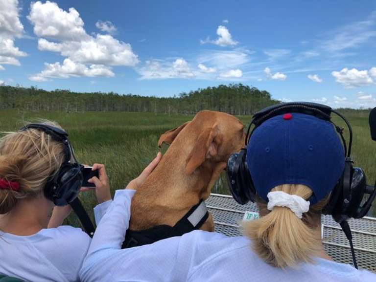 Down South Airboat Tours