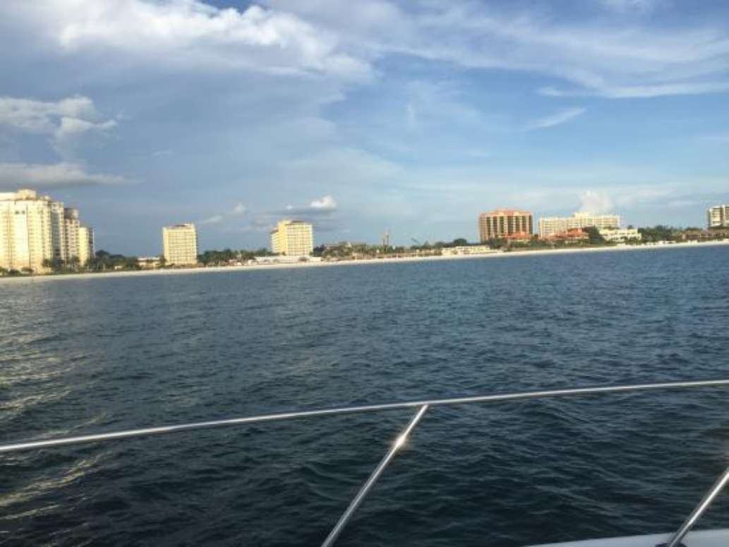 FoxC Cruises