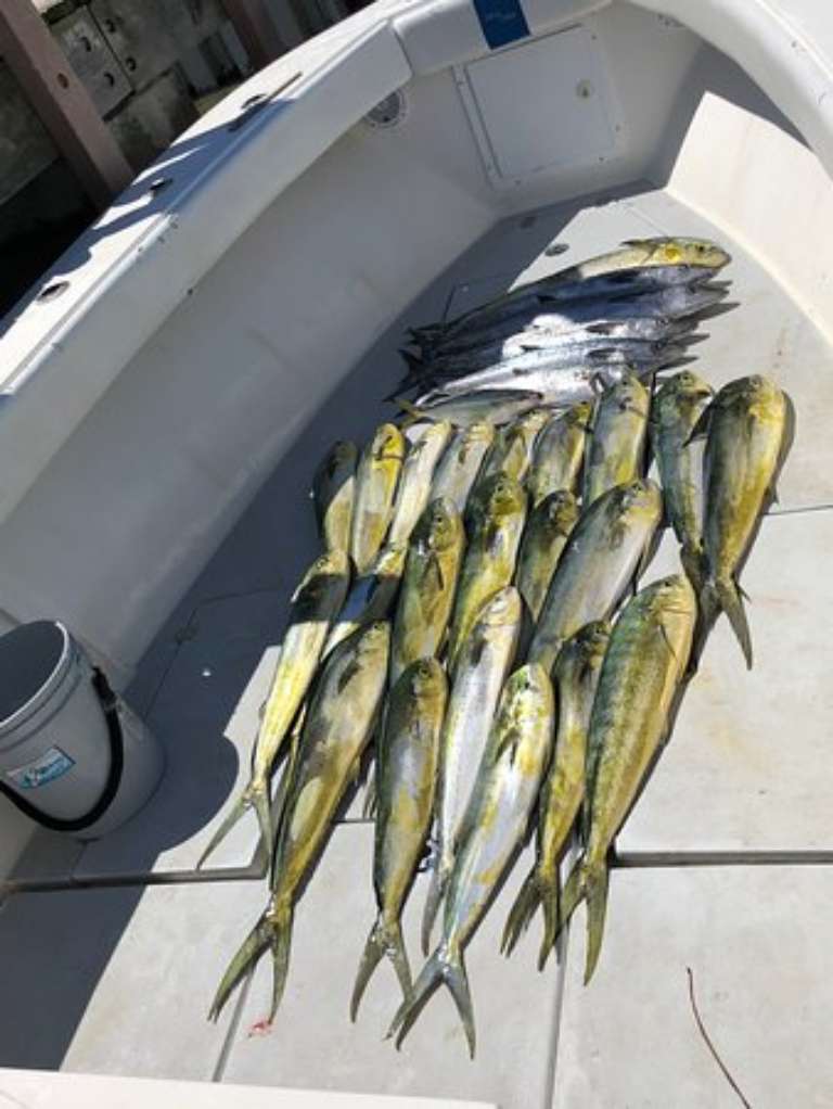 Seapremacy Fishing Charters