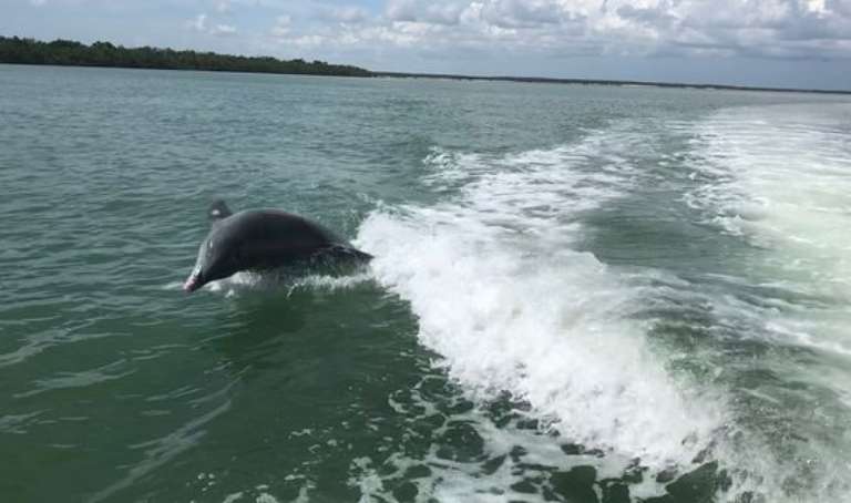 Bimini Twist Charters