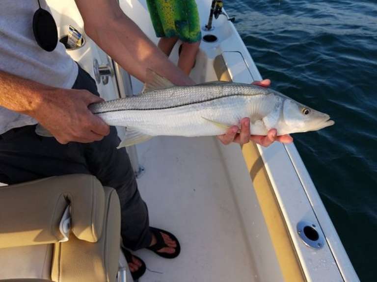 Shore Catch Charters, LLC