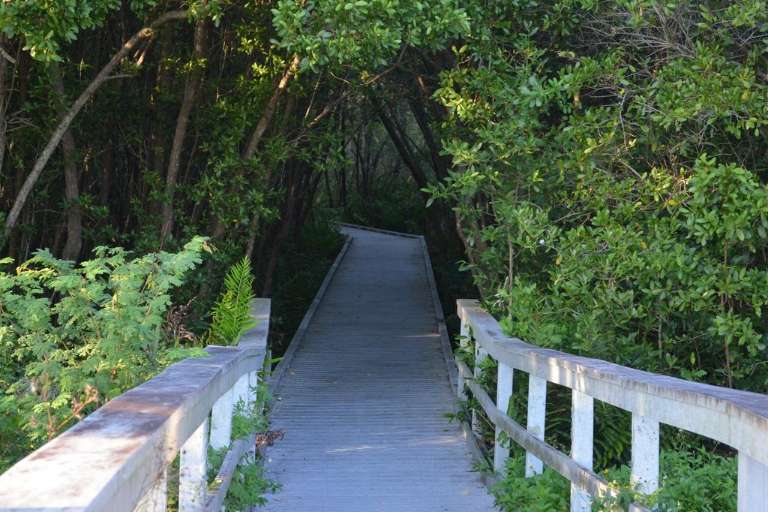 Four Mile Cove Ecological Preserve