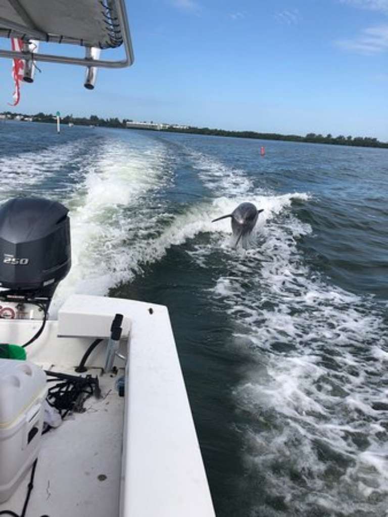 Captain Randys Fishy Business